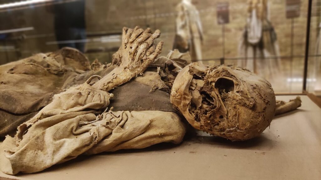 Marche Travel Adventure: Begin a Breathtaking Journey