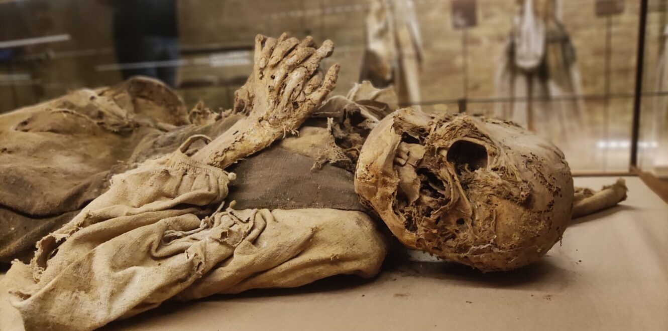 Marche Travel Adventure: Begin a Breathtaking Journey