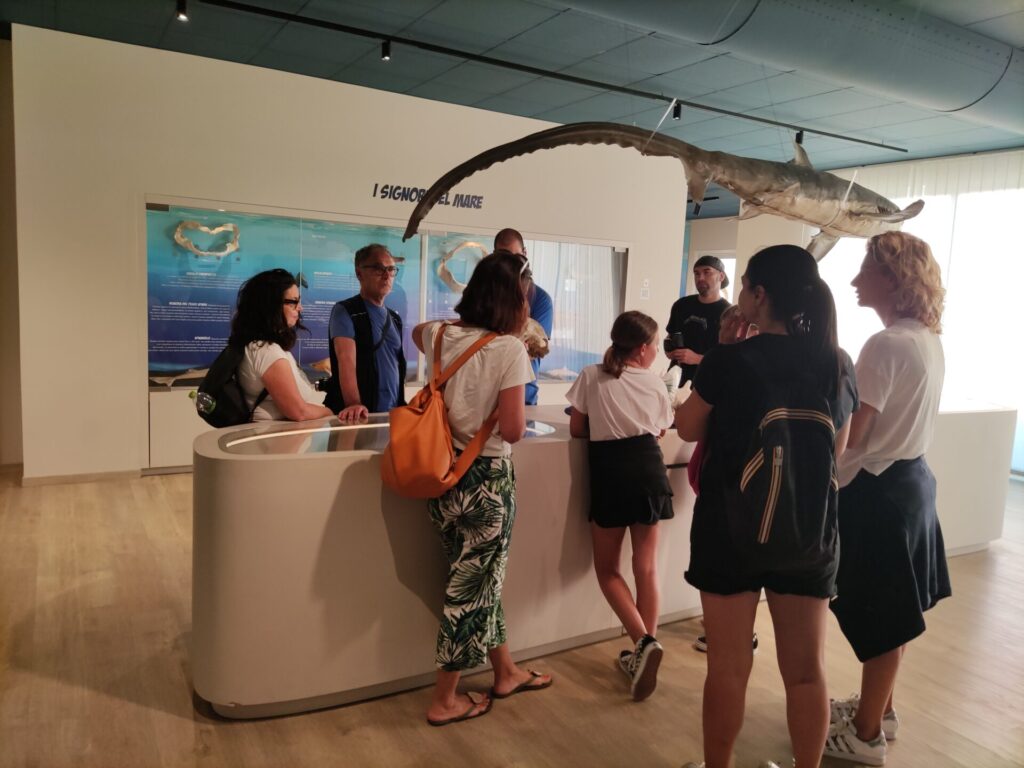 Experience the Charming Marche Region on a Guided Walking Tour