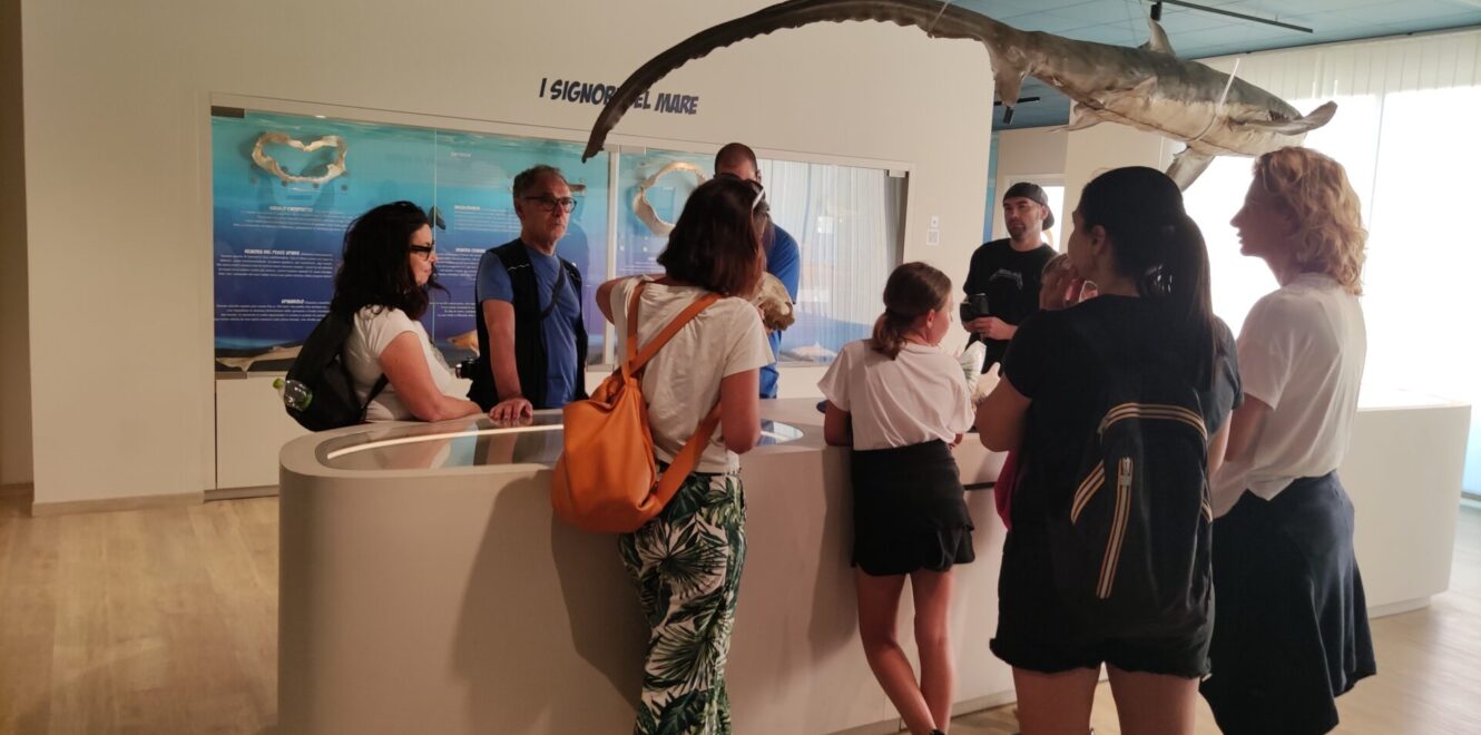 Experience the Charming Marche Region on a Guided Walking Tour