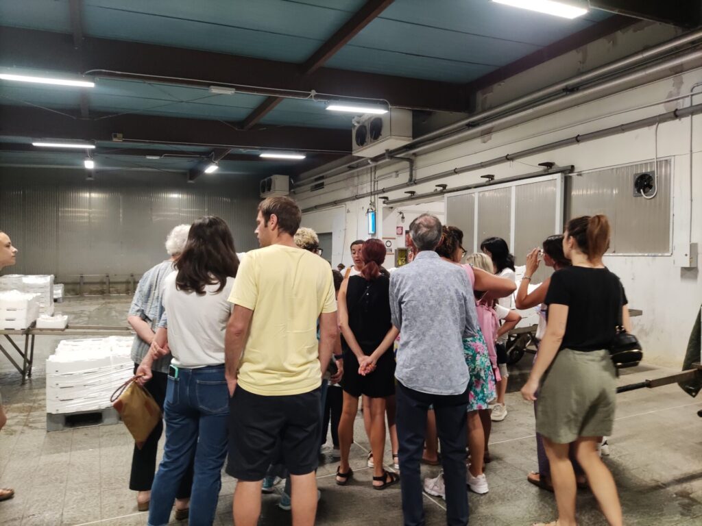 Fish Auction Tour