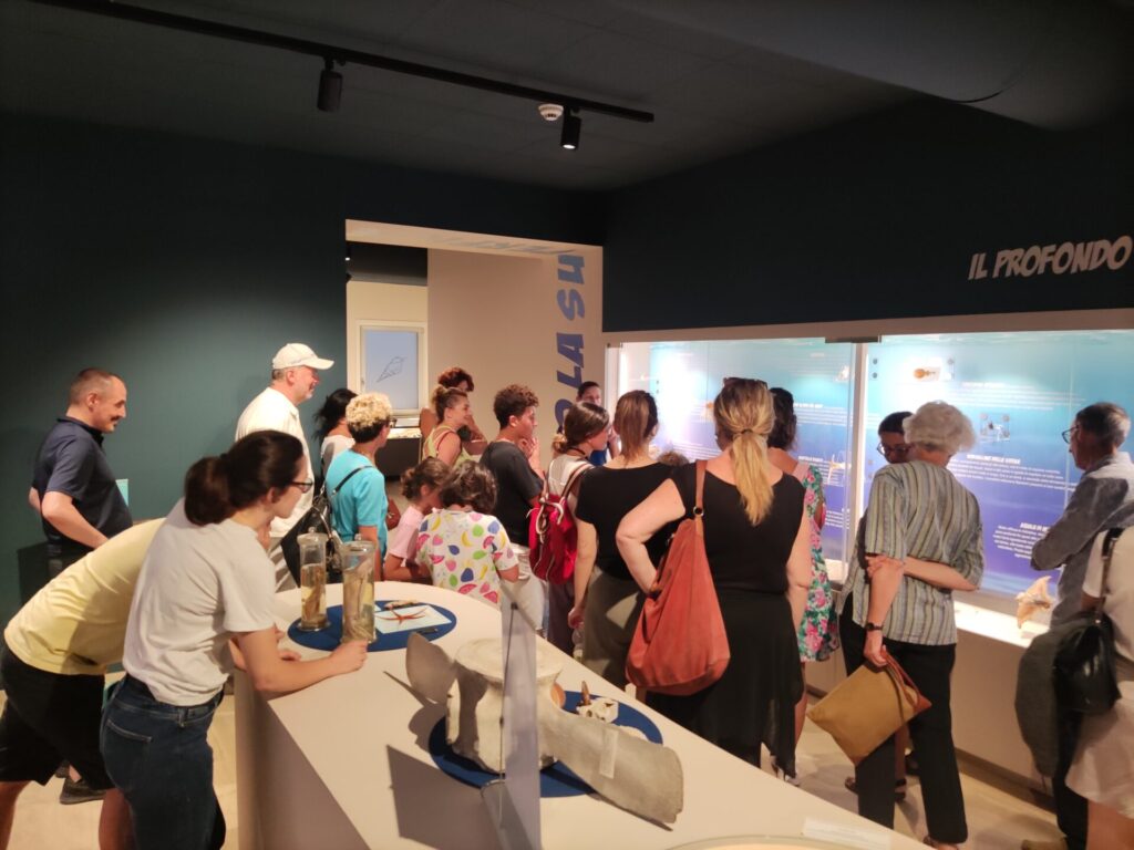 Exciting San Benedetto del Tronto Fish Auction Tour