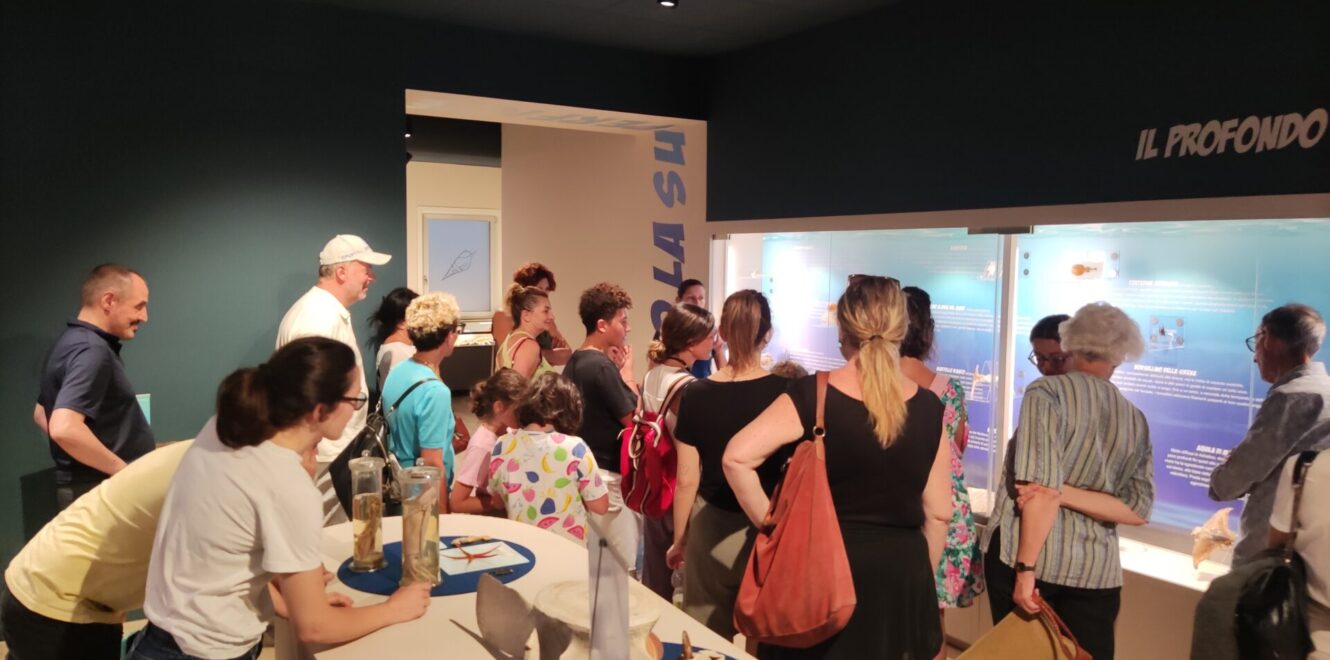 Exciting San Benedetto del Tronto Fish Auction Tour