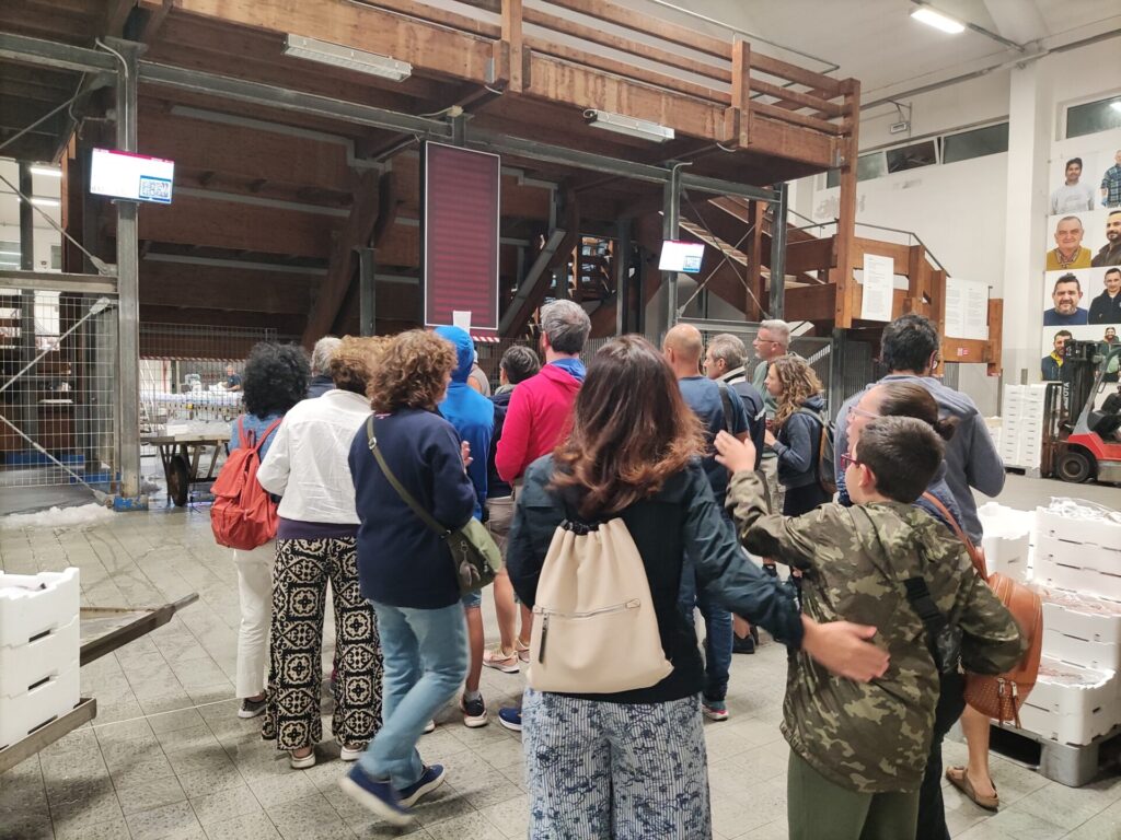 Fish Auction Tour