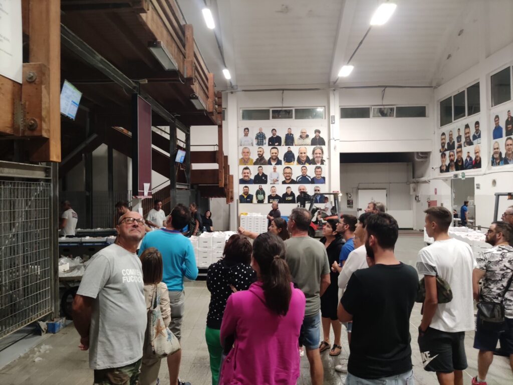Exciting San Benedetto del Tronto Fish Auction Tour