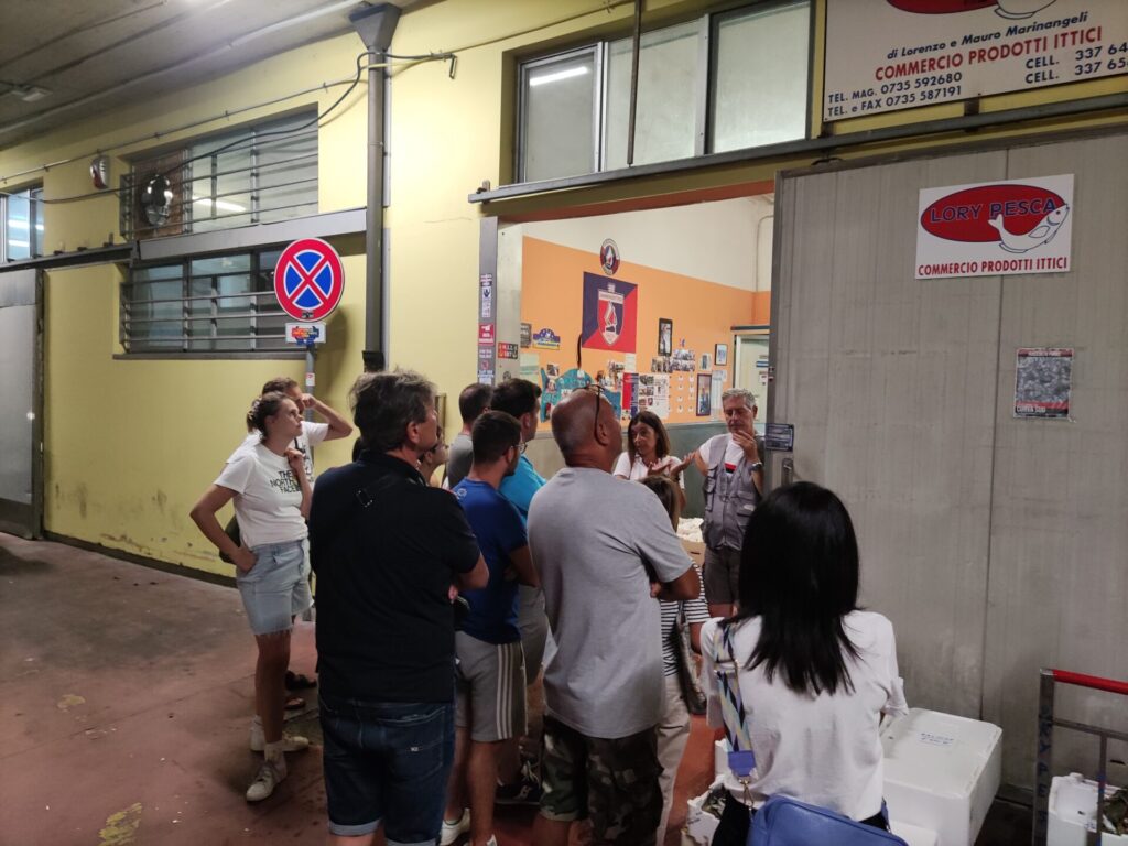 Exciting San Benedetto del Tronto Fish Auction Tour