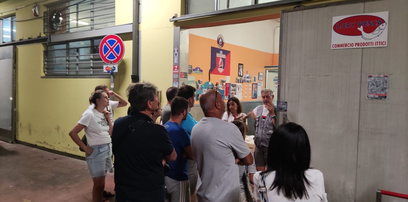 Exciting San Benedetto del Tronto Fish Auction Tour