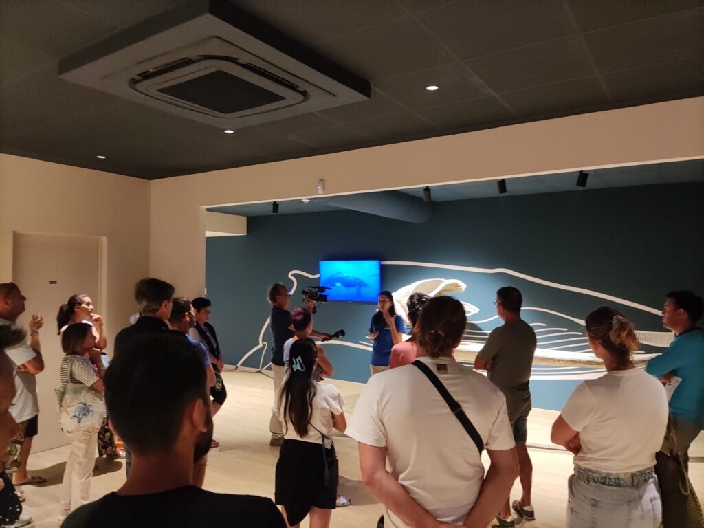 Exciting San Benedetto del Tronto Fish Auction Tour