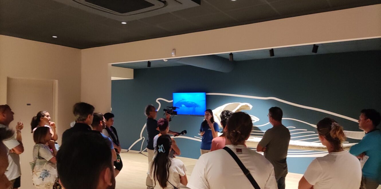 Exciting San Benedetto del Tronto Fish Auction Tour