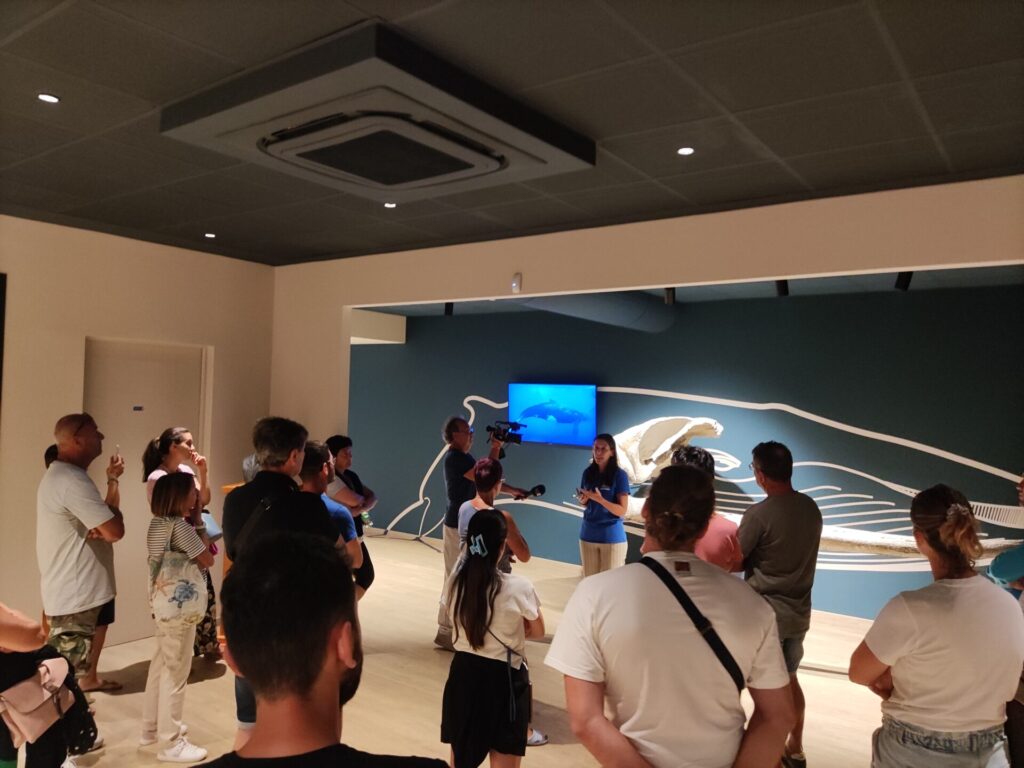 Exciting San Benedetto del Tronto Fish Auction Tour