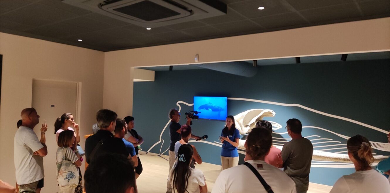 Exciting San Benedetto del Tronto Fish Auction Tour