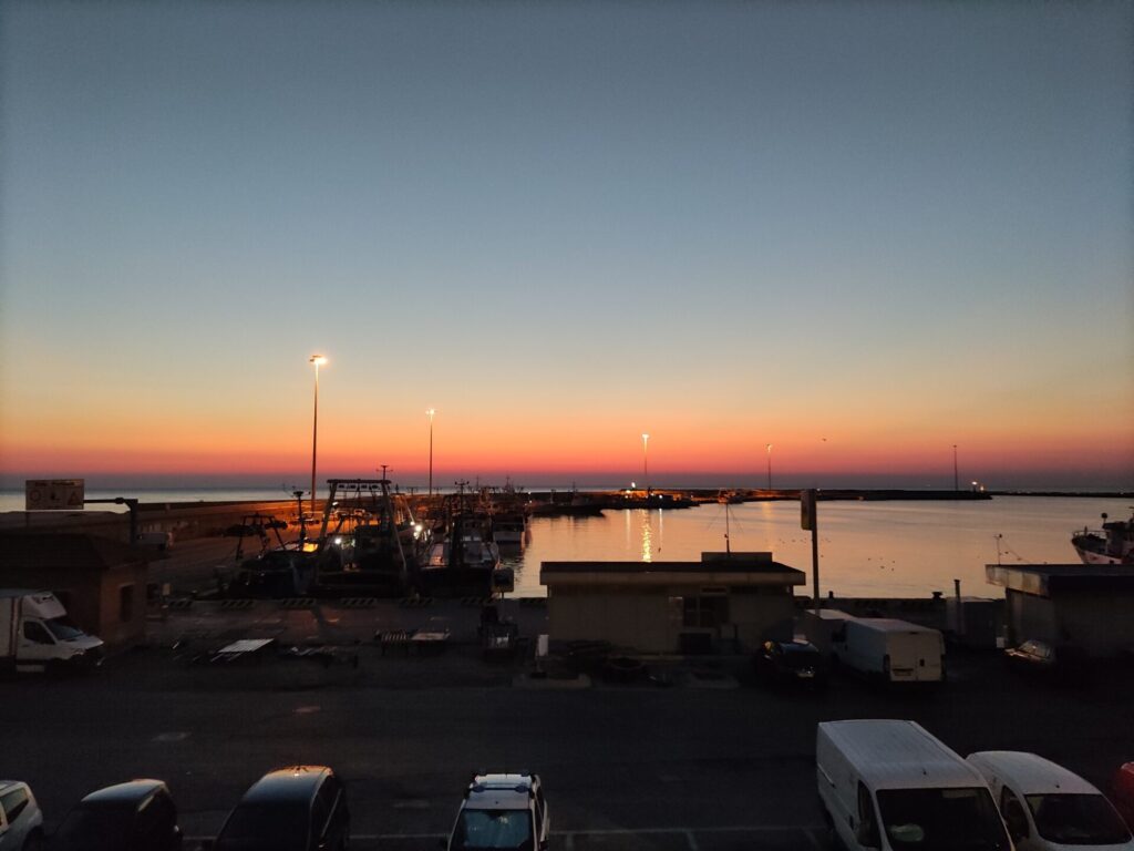 Exciting San Benedetto del Tronto Fish Auction Tour