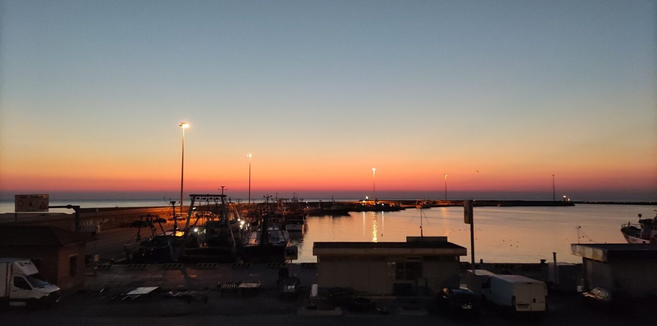 Exciting San Benedetto del Tronto Fish Auction Tour