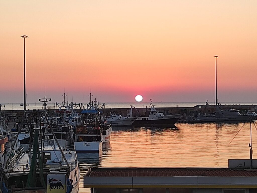 Exciting San Benedetto del Tronto Fish Auction Tour