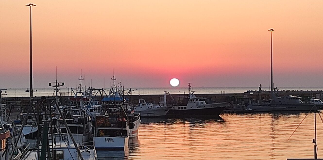 Exciting San Benedetto del Tronto Fish Auction Tour