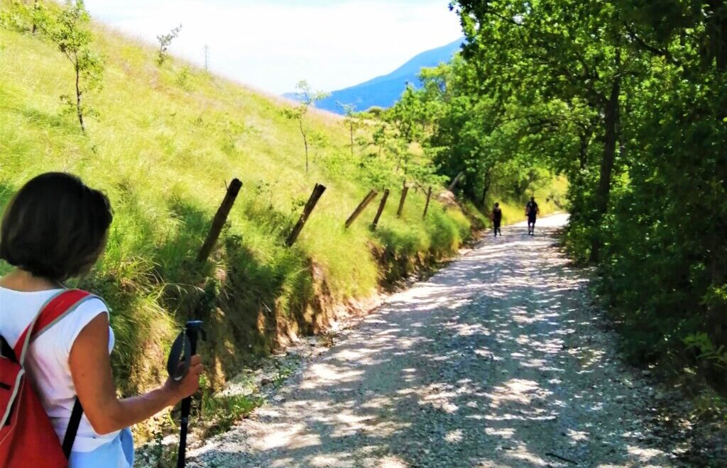 What to Do See and Eat in Marche region: Uncover the Magic!