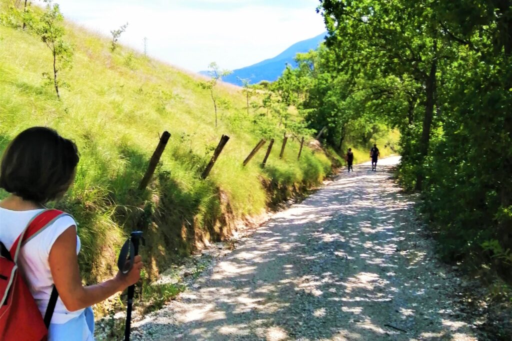 What to Do See and Eat in Marche region: Uncover the Magic!