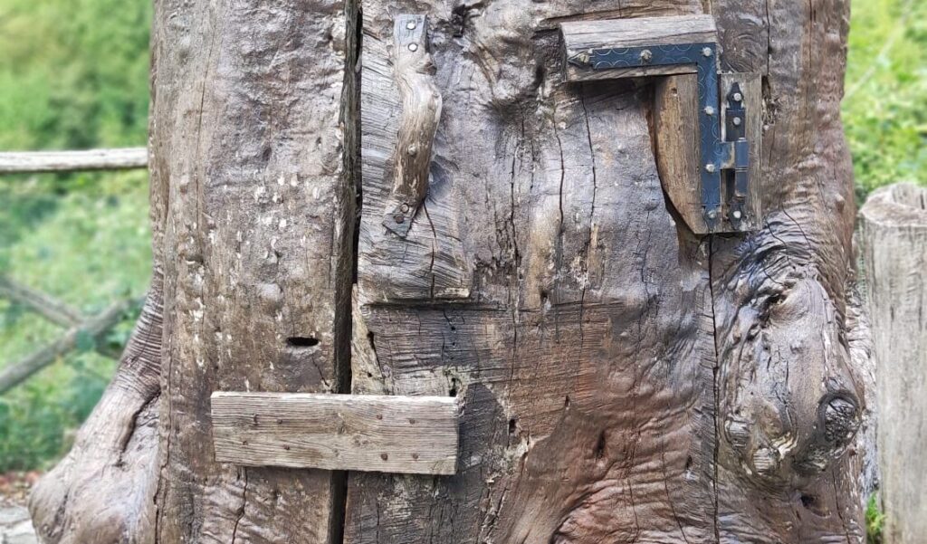 Autumn in the Woods of Piceno