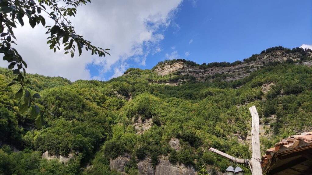 Autumn in the Woods of Piceno